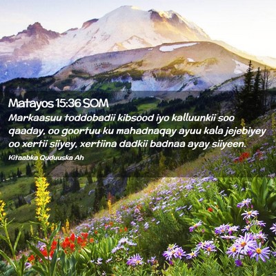 Picture 02 - Matayos 15:36 SOM - Markaasuu toddobadii kibsood iyo kalluunkii soo - Bible Verse Picture