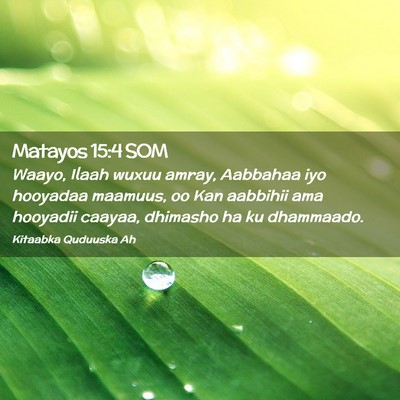 Picture 02 - Matayos 15:4 SOM - Waayo, Ilaah wuxuu amray, Aabbahaa iyo hooyadaa - Bible Verse Picture