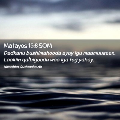 Picture 02 - Matayos 15:8 SOM - Dadkanu bushimahooda ayay igu maamuusaan, Laakiin - Bible Verse Picture