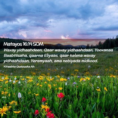 Picture 02 - Matayos 16:14 SOM - Waxay yidhaahdeen, Qaar waxay yidhaahdaan, - Bible Verse Picture
