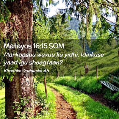 Picture 02 - Matayos 16:15 SOM - Markaasuu wuxuu ku yidhi, Idinkuse yaad igu - Bible Verse Picture