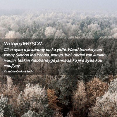 Picture 02 - Matayos 16:17 SOM - Ciise ayaa u jawaabay oo ku yidhi, Waad - Bible Verse Picture