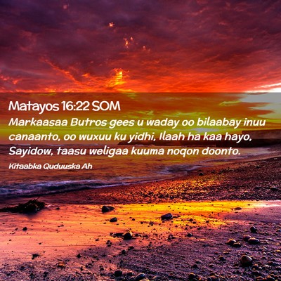 Picture 02 - Matayos 16:22 SOM - Markaasaa Butros gees u waday oo bilaabay inuu - Bible Verse Picture