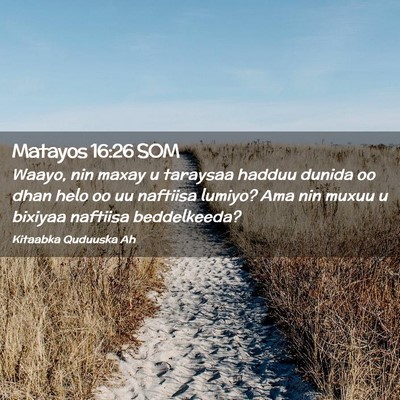 Picture 02 - Matayos 16:26 SOM - Waayo, nin maxay u taraysaa hadduu dunida oo dhan - Bible Verse Picture