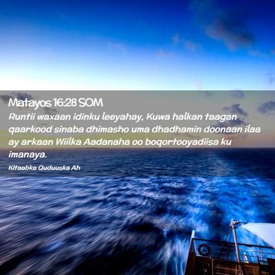 Picture 02 - Matayos 16:28 SOM - Runtii waxaan idinku leeyahay, Kuwa halkan taagan - Bible Verse Picture