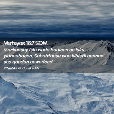 Picture 02 - Matayos 16:7 SOM - Markaasay isla wada hadleen oo isku yidhaahdeen, - Bible Verse Picture