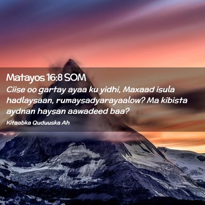 Picture 02 - Matayos 16:8 SOM - Ciise oo gartay ayaa ku yidhi, Maxaad isula - Bible Verse Picture