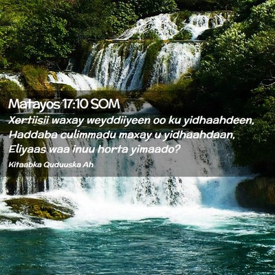 Picture 02 - Matayos 17:10 SOM - Xertiisii waxay weyddiiyeen oo ku yidhaahdeen, - Bible Verse Picture