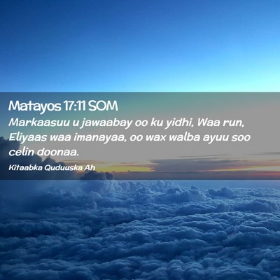 Picture 02 - Matayos 17:11 SOM - Markaasuu u jawaabay oo ku yidhi, Waa run, - Bible Verse Picture