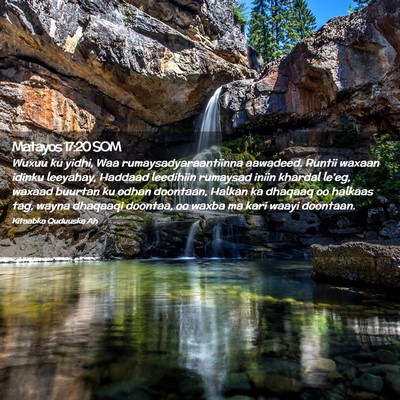 Picture 02 - Matayos 17:20 SOM - Wuxuu ku yidhi, Waa rumaysadyaraantiinna - Bible Verse Picture