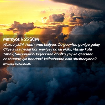 Picture 02 - Matayos 17:25 SOM - Wuxuu yidhi, Haah, wuu bixiyaa. Oo goortuu guriga - Bible Verse Picture