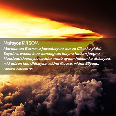 Picture 02 - Matayos 17:4 SOM - Markaasaa Butros u jawaabay oo wuxuu Ciise ku - Bible Verse Picture