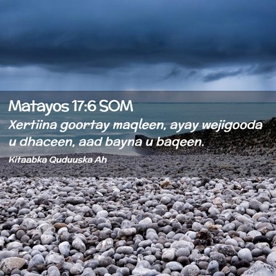 Picture 02 - Matayos 17:6 SOM - Xertiina goortay maqleen, ayay wejigooda u - Bible Verse Picture
