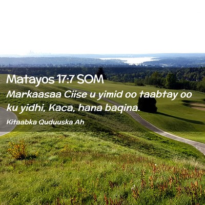 Picture 02 - Matayos 17:7 SOM - Markaasaa Ciise u yimid oo taabtay oo ku yidhi, - Bible Verse Picture