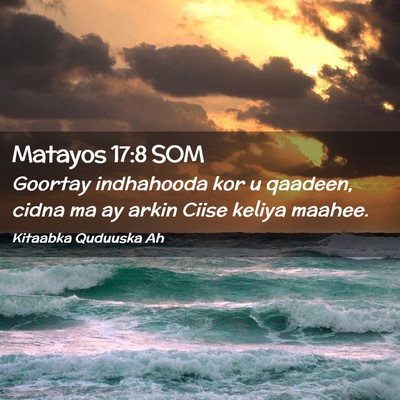 Picture 02 - Matayos 17:8 SOM - Goortay indhahooda kor u qaadeen, cidna ma ay - Bible Verse Picture