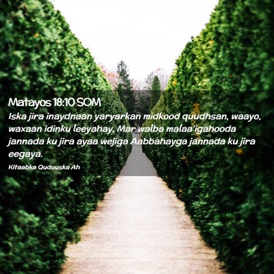 Picture 02 - Matayos 18:10 SOM - Iska jira inaydnaan yaryarkan midkood quudhsan, - Bible Verse Picture