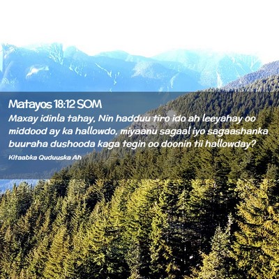 Picture 02 - Matayos 18:12 SOM - Maxay idinla tahay, Nin hadduu tiro ido ah - Bible Verse Picture