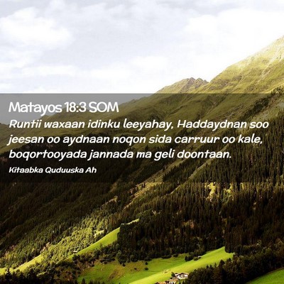 Picture 02 - Matayos 18:3 SOM - Runtii waxaan idinku leeyahay, Haddaydnan soo - Bible Verse Picture