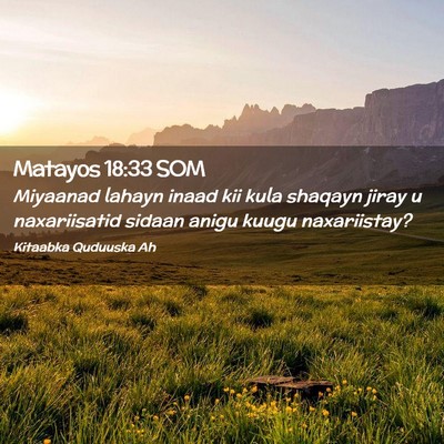 Picture 02 - Matayos 18:33 SOM - Miyaanad lahayn inaad kii kula shaqayn jiray u - Bible Verse Picture