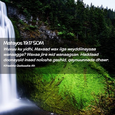 Picture 02 - Matayos 19:17 SOM - Wuxuu ku yidhi, Maxaad wax iiga weyddiinaysaa - Bible Verse Picture