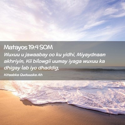 Picture 02 - Matayos 19:4 SOM - Wuxuu u jawaabay oo ku yidhi, Miyaydnaan - Bible Verse Picture