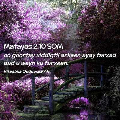 Picture 02 - Matayos 2:10 SOM - oo goortay xiddigtii arkeen ayay farxad aad u - Bible Verse Picture