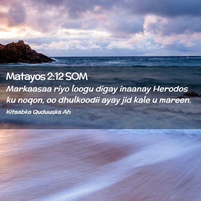 Picture 02 - Matayos 2:12 SOM - Markaasaa riyo loogu digay inaanay Herodos ku - Bible Verse Picture