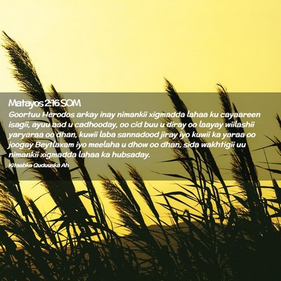 Picture 02 - Matayos 2:16 SOM - Goortuu Herodos arkay inay nimankii xigmadda - Bible Verse Picture