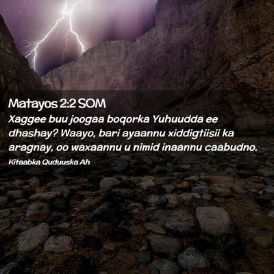 Picture 02 - Matayos 2:2 SOM - Xaggee buu joogaa boqorka Yuhuudda ee dhashay? - Bible Verse Picture