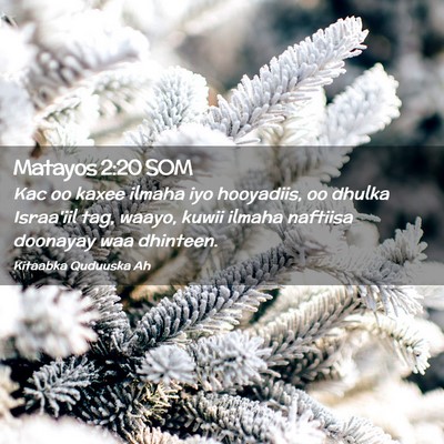 Picture 02 - Matayos 2:20 SOM - Kac oo kaxee ilmaha iyo hooyadiis, oo dhulka - Bible Verse Picture