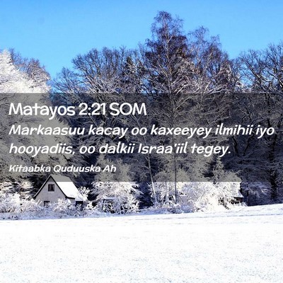 Picture 02 - Matayos 2:21 SOM - Markaasuu kacay oo kaxeeyey ilmihii iyo - Bible Verse Picture