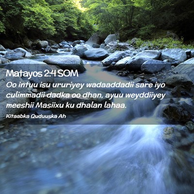Picture 02 - Matayos 2:4 SOM - Oo intuu isu ururiyey wadaaddadii sare iyo - Bible Verse Picture