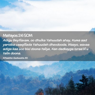 Picture 02 - Matayos 2:6 SOM - Adigu Beytlaxam, oo dhulka Yahuudah ahay, Kuma - Bible Verse Picture