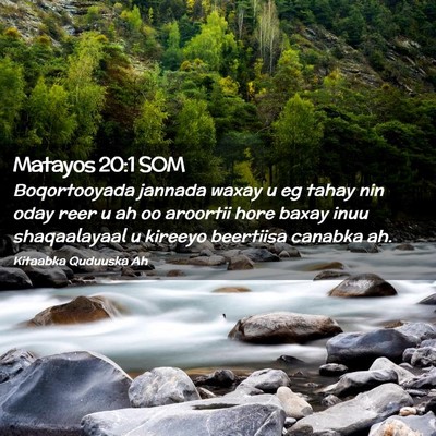 Picture 02 - Matayos 20:1 SOM - Boqortooyada jannada waxay u eg tahay nin oday - Bible Verse Picture
