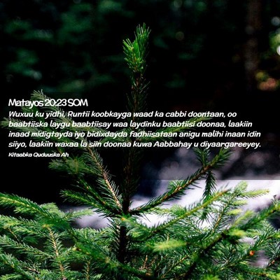 Picture 02 - Matayos 20:23 SOM - Wuxuu ku yidhi, Runtii koobkayga waad ka cabbi - Bible Verse Picture