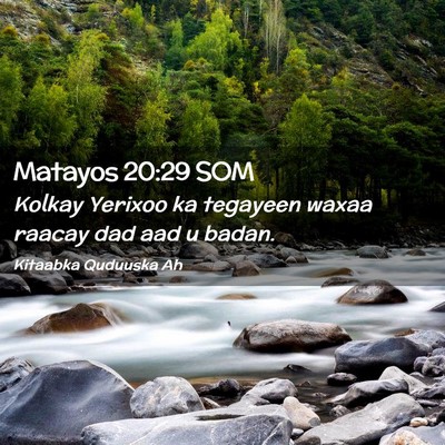 Picture 02 - Matayos 20:29 SOM - Kolkay Yerixoo ka tegayeen waxaa raacay dad aad u - Bible Verse Picture