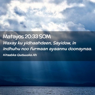 Picture 02 - Matayos 20:33 SOM - Waxay ku yidhaahdeen, Sayidow, in indhuhu noo - Bible Verse Picture