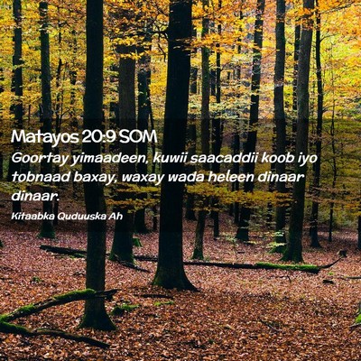 Picture 02 - Matayos 20:9 SOM - Goortay yimaadeen, kuwii saacaddii koob iyo - Bible Verse Picture