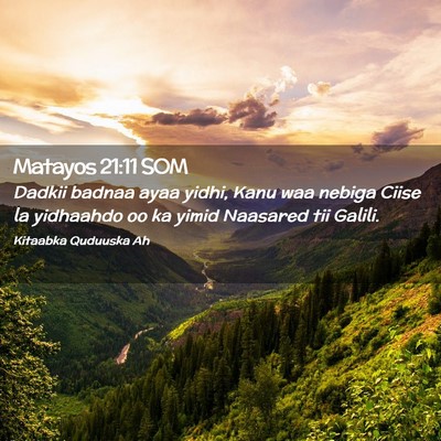 Picture 02 - Matayos 21:11 SOM - Dadkii badnaa ayaa yidhi, Kanu waa nebiga Ciise - Bible Verse Picture