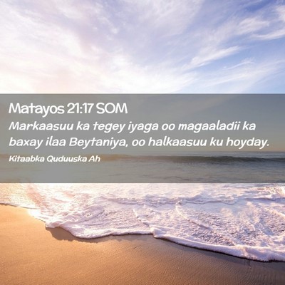 Picture 02 - Matayos 21:17 SOM - Markaasuu ka tegey iyaga oo magaaladii ka baxay - Bible Verse Picture