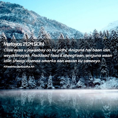 Picture 02 - Matayos 21:24 SOM - Ciise ayaa u jawaabay oo ku yidhi, Aniguna hal - Bible Verse Picture