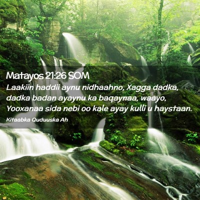 Picture 02 - Matayos 21:26 SOM - Laakiin haddii aynu nidhaahno, Xagga dadka, dadka - Bible Verse Picture