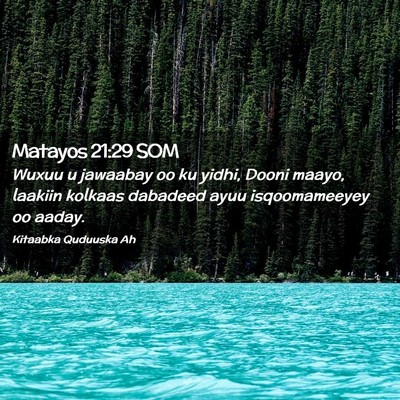 Picture 02 - Matayos 21:29 SOM - Wuxuu u jawaabay oo ku yidhi, Dooni maayo, - Bible Verse Picture