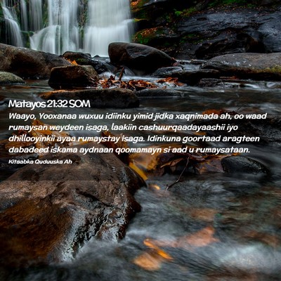 Picture 02 - Matayos 21:32 SOM - Waayo, Yooxanaa wuxuu idiinku yimid jidka - Bible Verse Picture