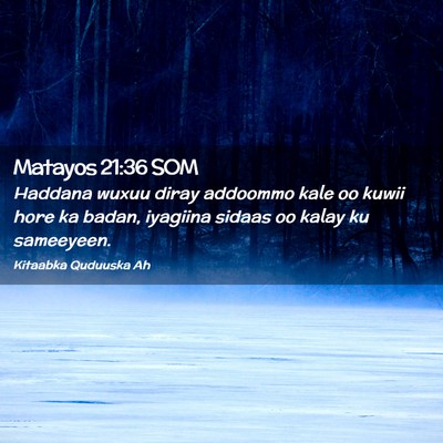 Picture 02 - Matayos 21:36 SOM - Haddana wuxuu diray addoommo kale oo kuwii hore - Bible Verse Picture
