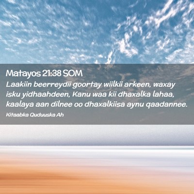 Picture 02 - Matayos 21:38 SOM - Laakiin beerreydii goortay wiilkii arkeen, waxay - Bible Verse Picture