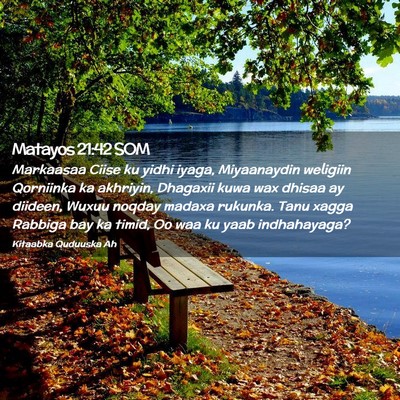 Picture 02 - Matayos 21:42 SOM - Markaasaa Ciise ku yidhi iyaga, Miyaanaydin - Bible Verse Picture