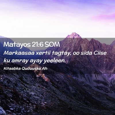 Picture 02 - Matayos 21:6 SOM - Markaasaa xertii tagtay, oo sida Ciise ku amray - Bible Verse Picture