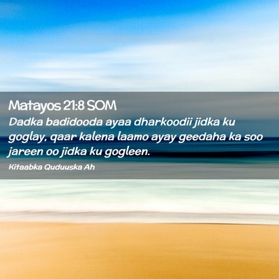 Picture 02 - Matayos 21:8 SOM - Dadka badidooda ayaa dharkoodii jidka ku goglay, - Bible Verse Picture