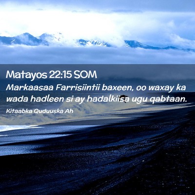 Picture 02 - Matayos 22:15 SOM - Markaasaa Farrisiintii baxeen, oo waxay ka wada - Bible Verse Picture